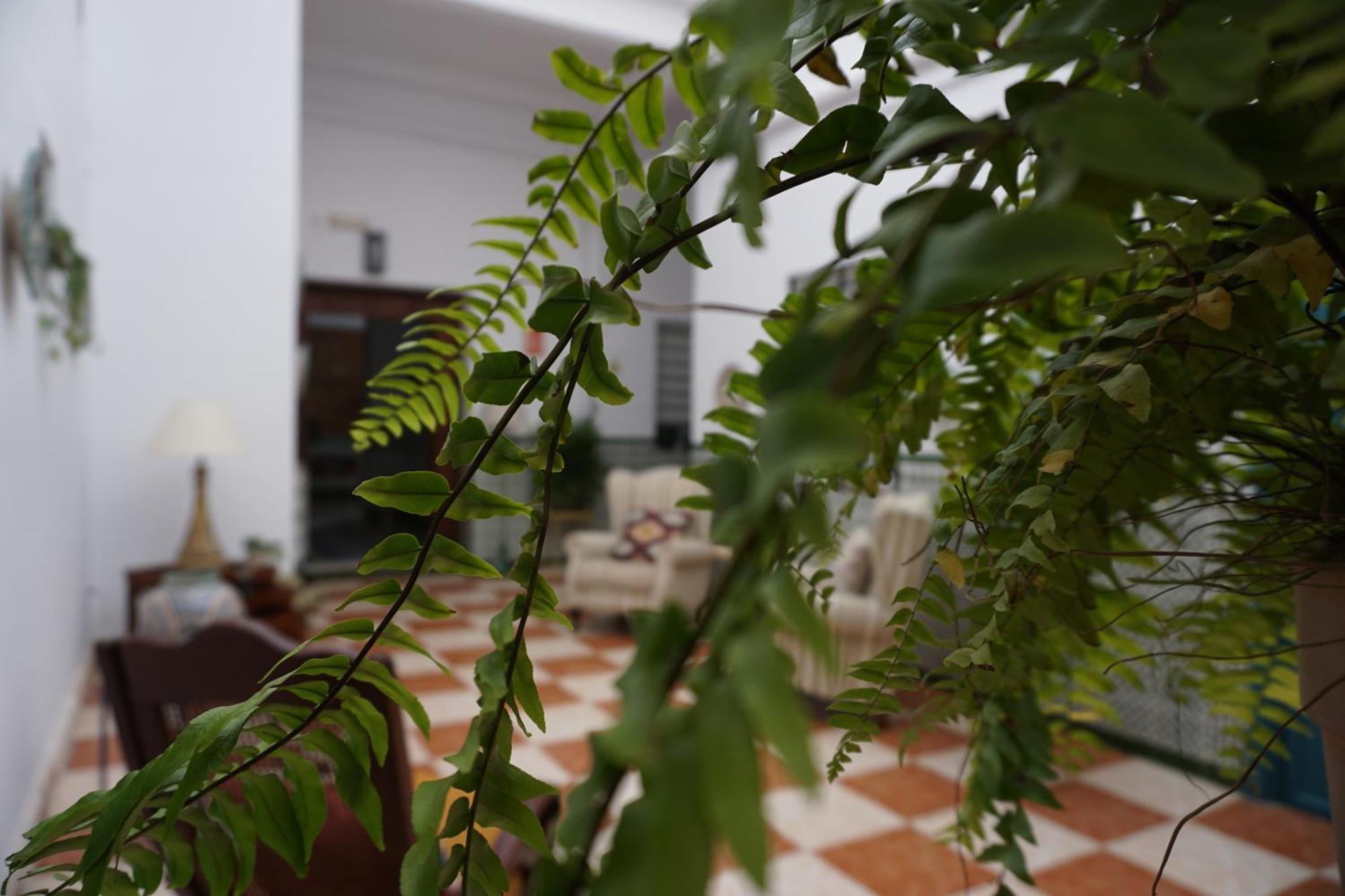 Montserrat Casa Del Mar Chipiona Kültér fotó