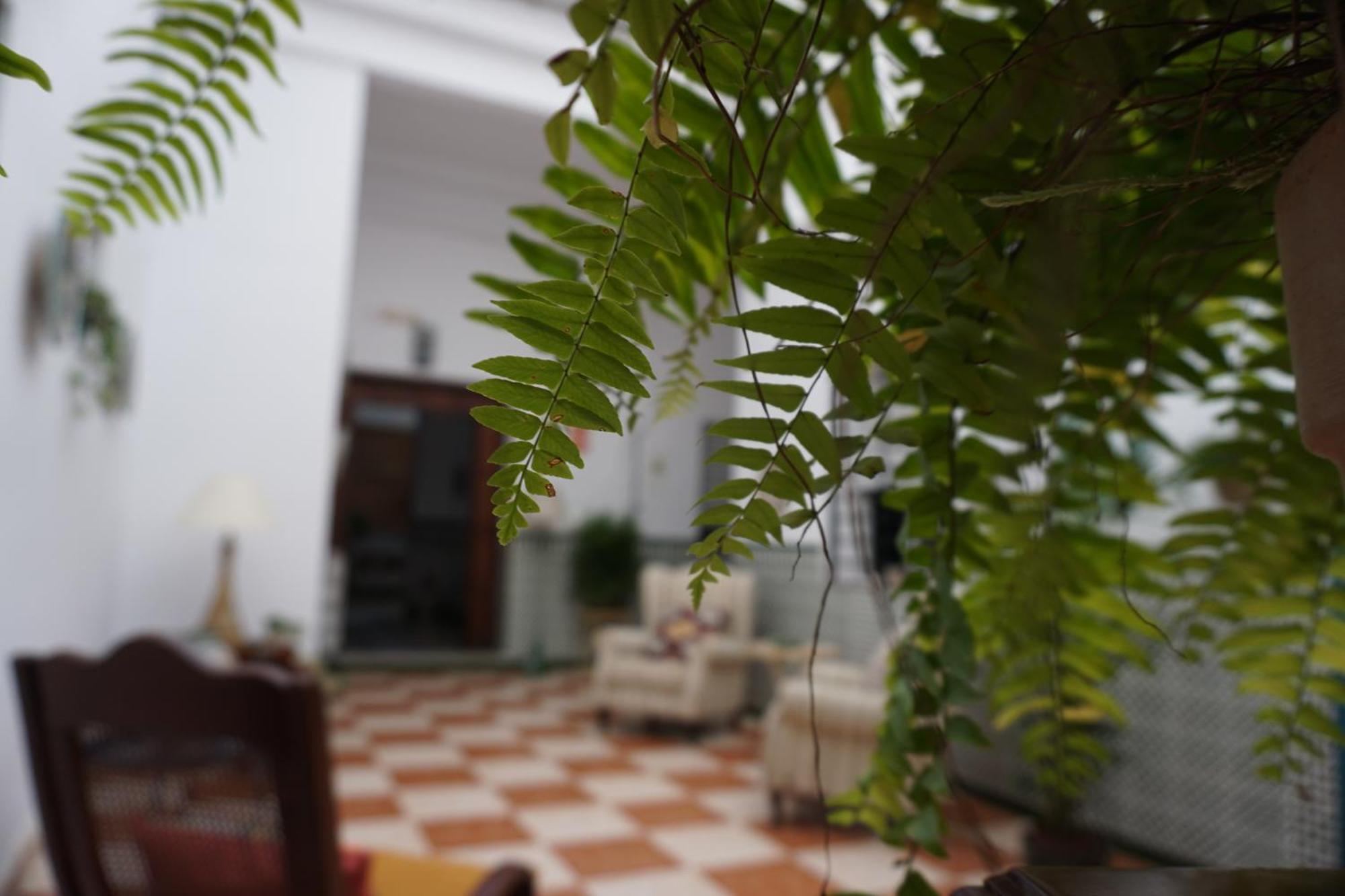 Montserrat Casa Del Mar Chipiona Kültér fotó