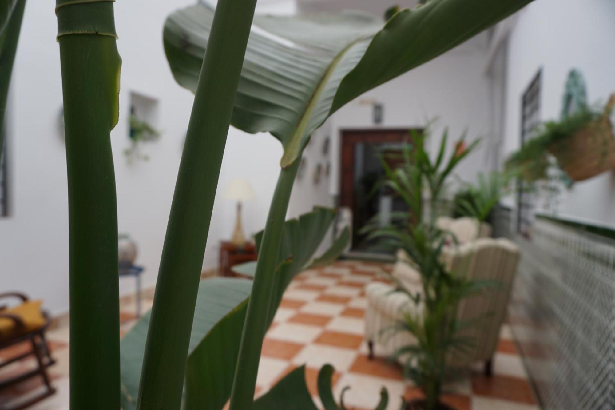 Montserrat Casa Del Mar Chipiona Kültér fotó