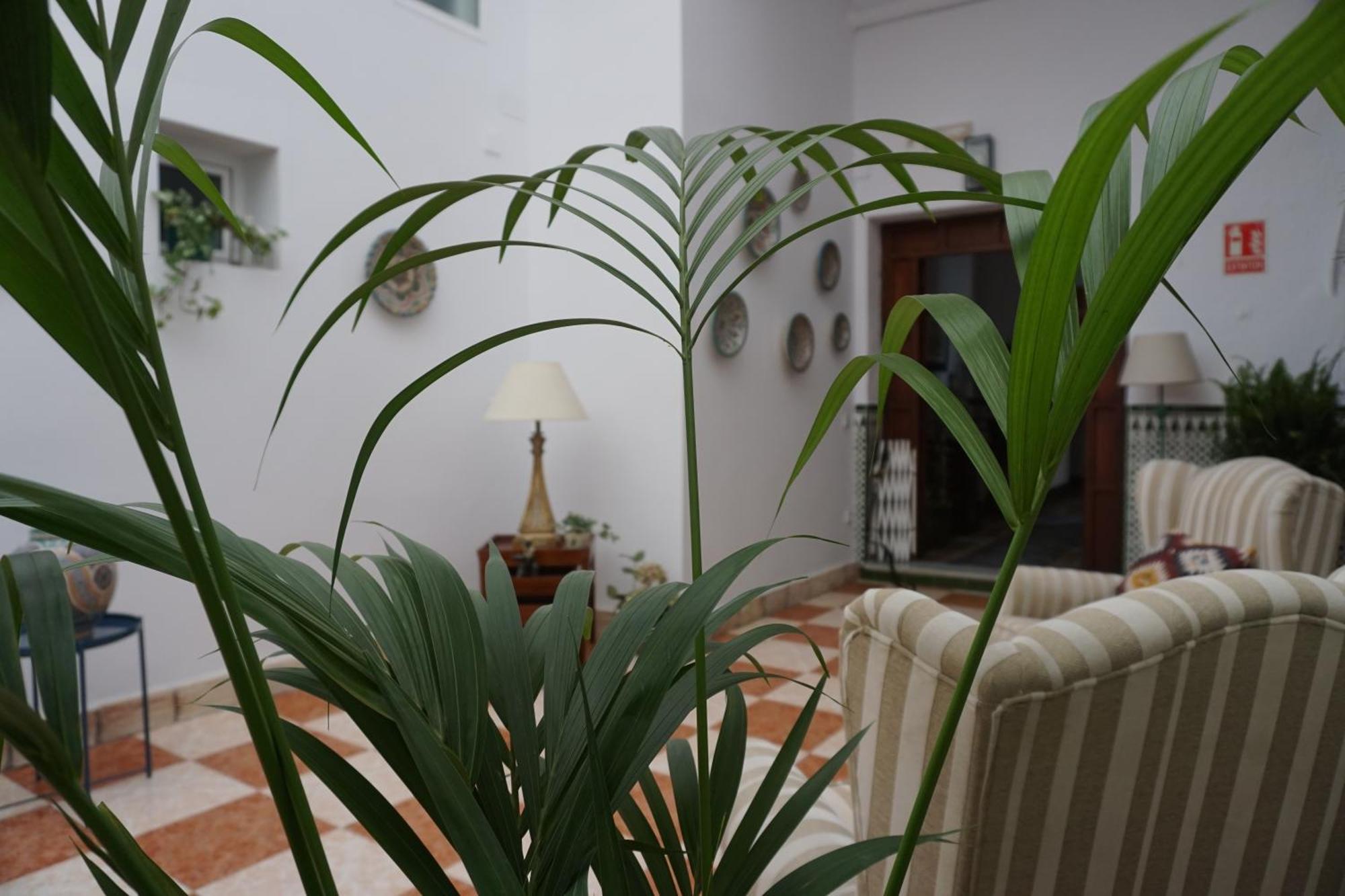 Montserrat Casa Del Mar Chipiona Kültér fotó